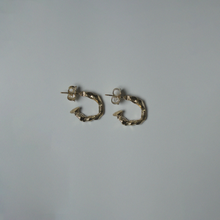 Load image into Gallery viewer, Totem earrings
