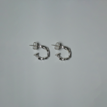 Load image into Gallery viewer, Totem earrings
